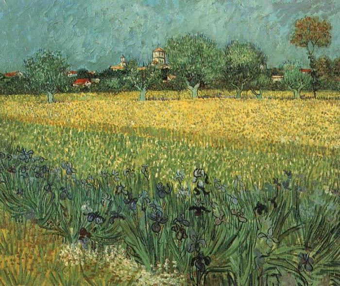 Vincent Van Gogh View of Arles with Irises in the Foreground oil painting image